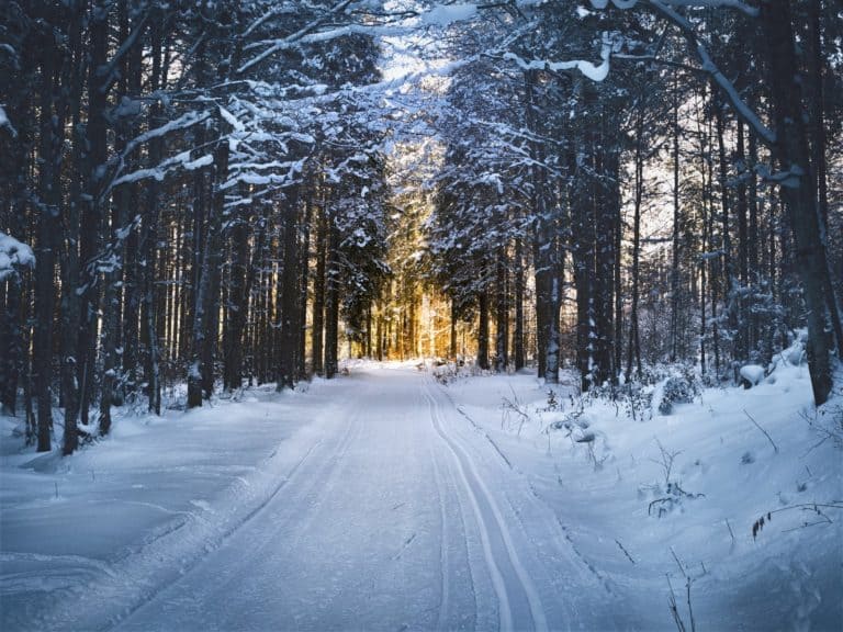 Beat the blues: self-care challenge & gift guide