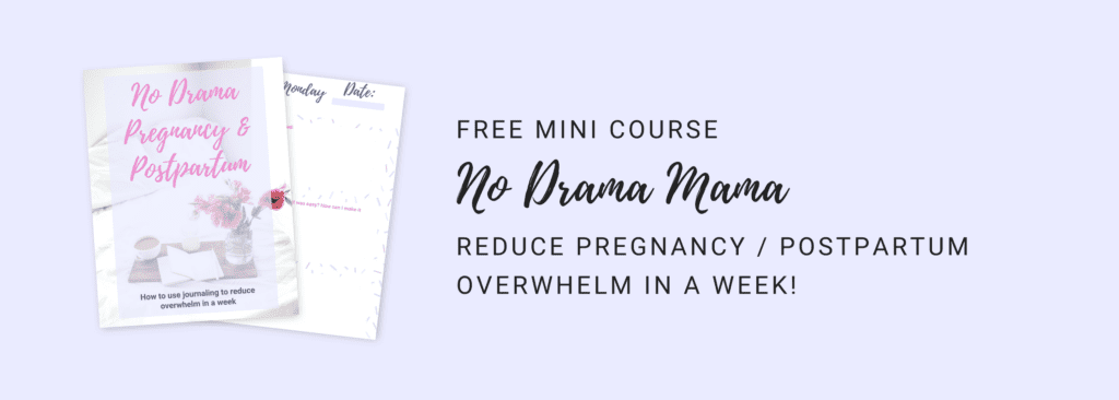 No Drama Mama Free Mini Course