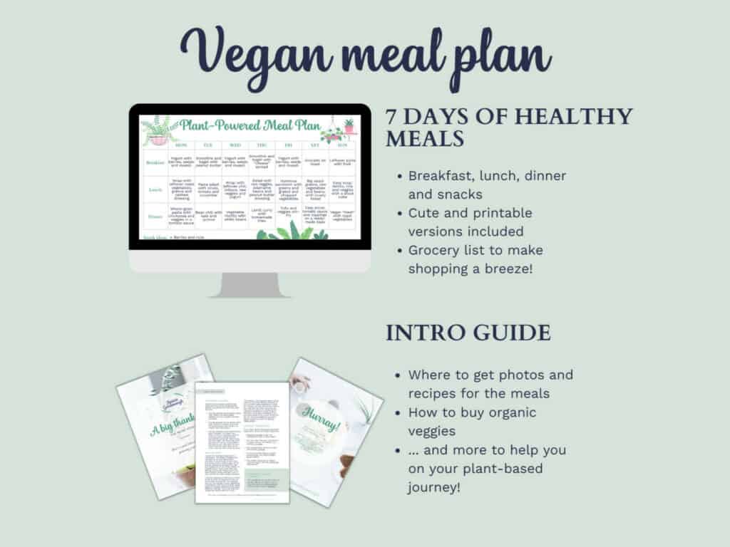 Vegan meal plan: 7 days of healthy meals