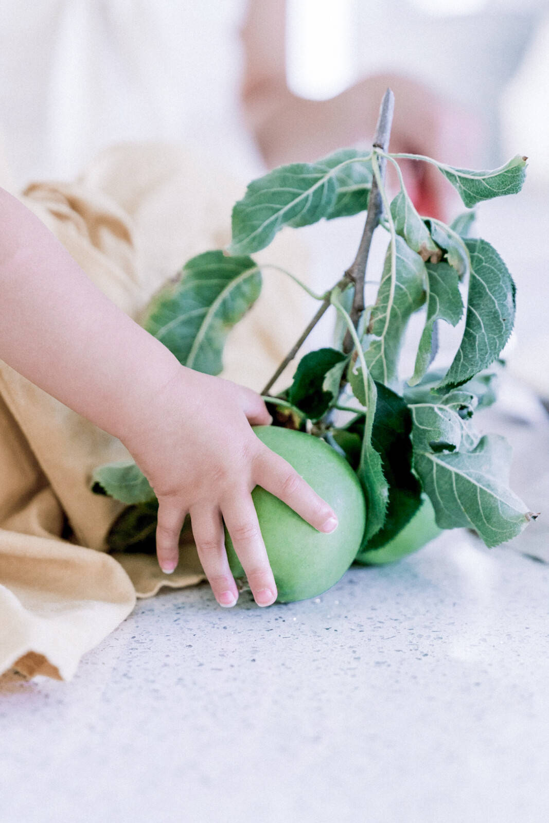 Cute And Crueltyfree An Intro Guide To Vegan Baby Products