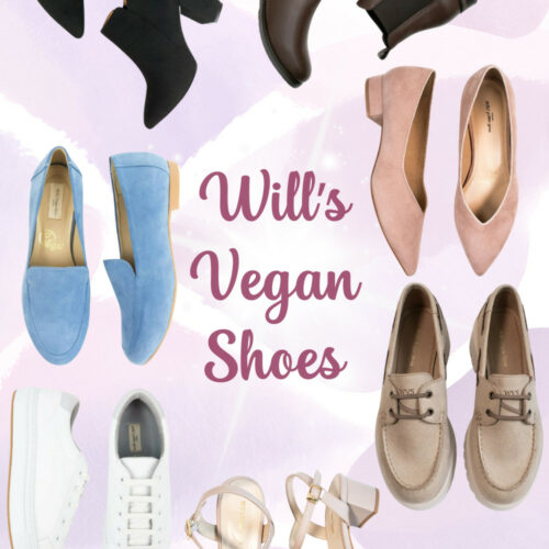 a group of shoes on a purple background